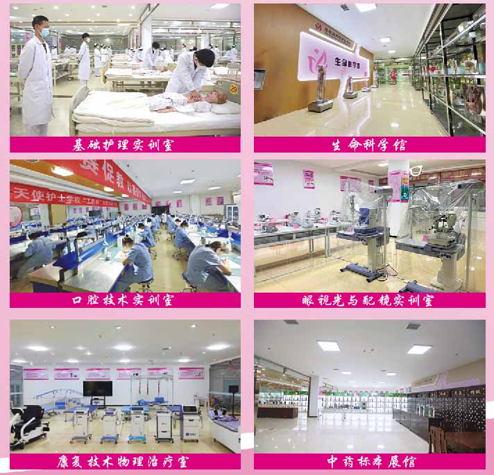 石家莊天使護(hù)士學(xué)校2026年春季班招生年齡要求